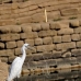 temple_karnak_lux_v_0294_egy3216.jpg